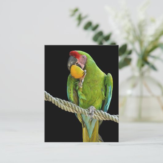 Papagei - Postkarten Briefkaart (Staand voorkant)