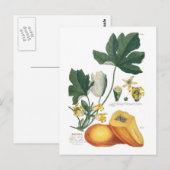 Papaja Briefkaart (Voorkant / Achterkant)