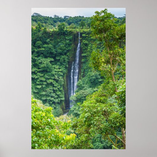 Papapaitai waterval in Oerwoud Poster (Voorkant)
