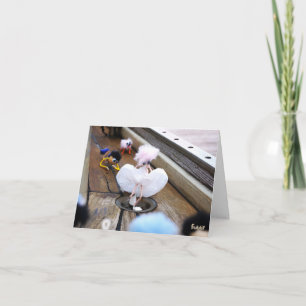 Paparazzi bij Fubby op rooster. Bedankkaart