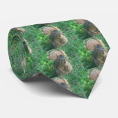 Papa's eekhoorntje stropdas (Opgerold)