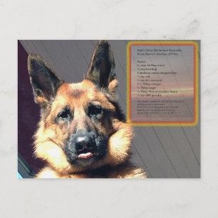 Papa's Oven Barbecue Spareribs Recipe Briefkaart