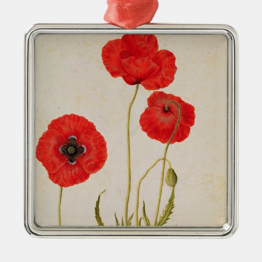 Papavar rhoeas, c.1568 metalen ornament (Voorkant)