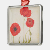 Papavar rhoeas, c.1568 metalen ornament (Links)