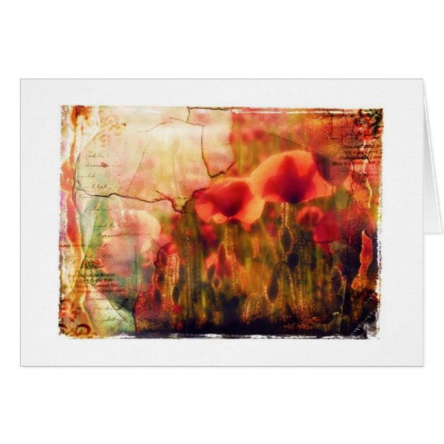 papaver (Voorkant Horizontaal)