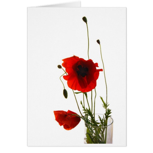 papaver (Voorkant)