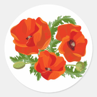 Papaver 3.5 ronde sticker