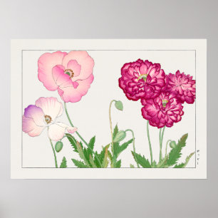 Papaver #3, rood roze en Paars, door Tanigami Kona Poster