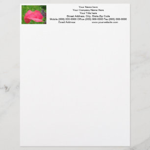 Papaver Bloem Briefhoofd Aangepaste Roze Papavers
