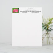 Papaver Bloem Briefhoofd Aangepaste Roze Papavers (Staand voorkant)