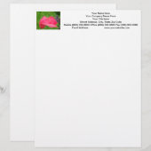 Papaver Bloem Briefhoofd Aangepaste Roze Papavers (Voorkant / Achterkant)