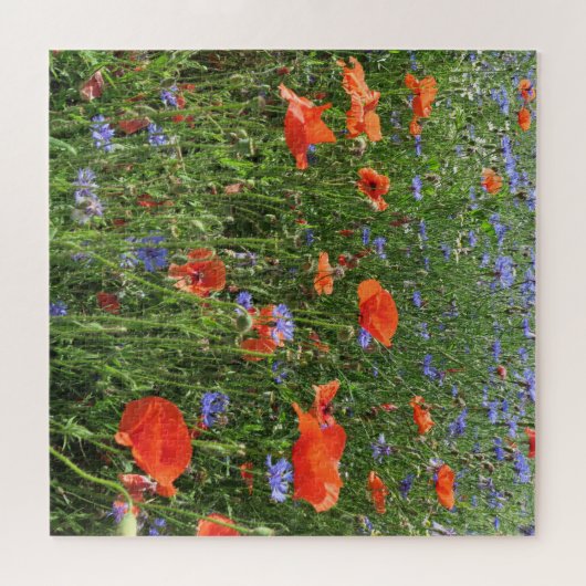 papaver, bloem, veld, natuur, veer, achtergrond legpuzzel (Horizontaal)