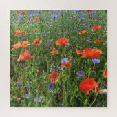papaver, bloem, veld, natuur, veer, achtergrond legpuzzel (Verticaal)