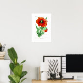 Papaver brateatum poster (Thuiskantoor)