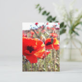 papaver briefkaart (Staand voorkant)
