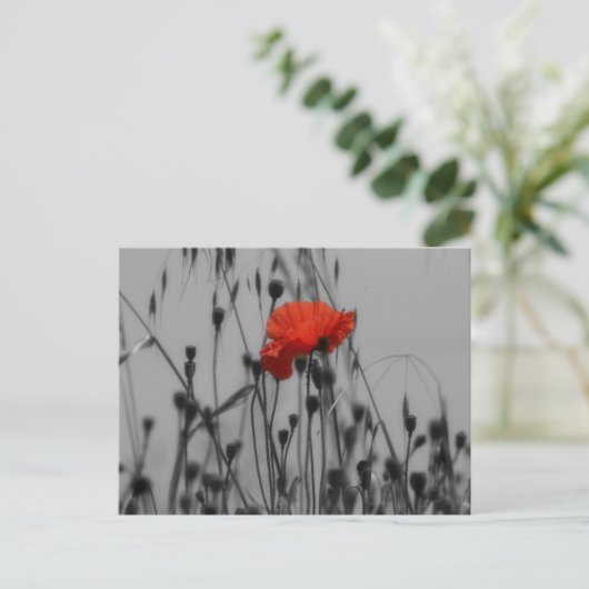 Papaver Briefkaart (Staand voorkant)