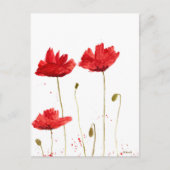 papaver briefkaart (Voorkant)