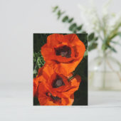 papaver briefkaart (Staand voorkant)