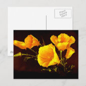 papaver briefkaart (Voorkant / Achterkant)