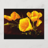 papaver briefkaart (Voorkant)