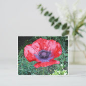 Papaver Briefkaart (Staand voorkant)