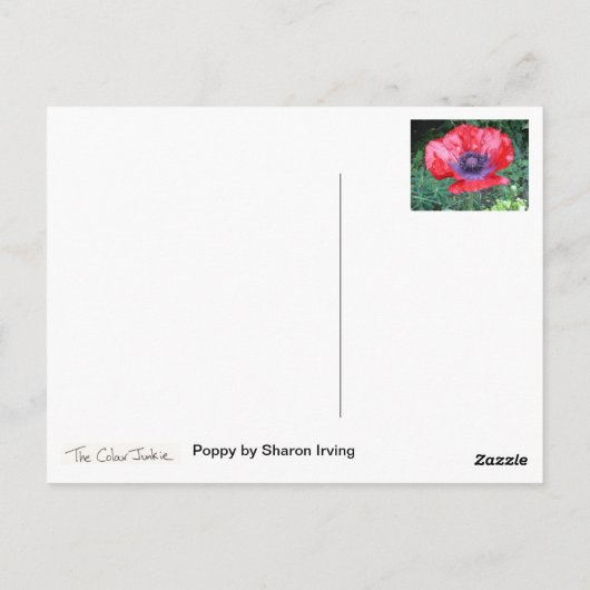 Papaver Briefkaart (Achterkant)