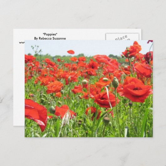 papaver briefkaart (Voorkant / Achterkant)