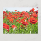 papaver briefkaart (Voorkant)