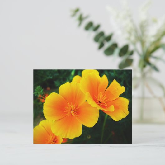 papaver briefkaart (Staand voorkant)