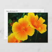 papaver briefkaart (Voorkant / Achterkant)