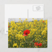 Papaver Briefkaart (Voorkant / Achterkant)