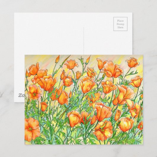 papaver briefkaart (Voorkant / Achterkant)