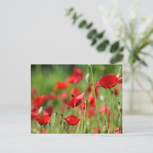 papaver briefkaart (Staand voorkant)