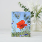 Papaver Briefkaart (Staand voorkant)