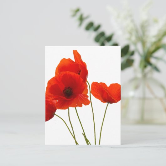 papaver briefkaart (Staand voorkant)