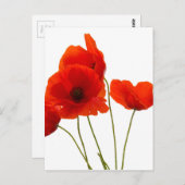 papaver briefkaart (Voorkant / Achterkant)