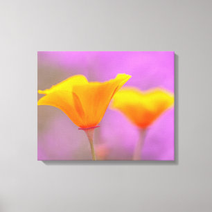 papaver canvas afdruk