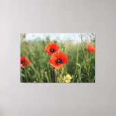 papaver canvas afdruk (Voorkant)