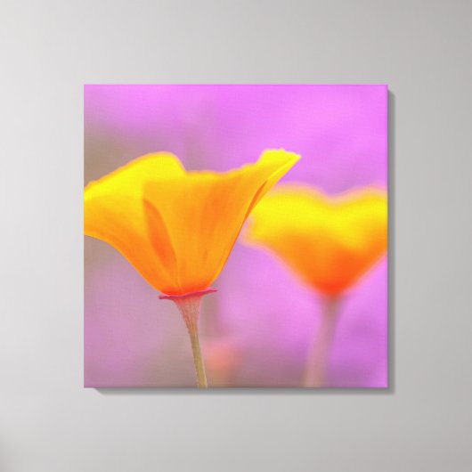 papaver canvas afdruk (Voorkant)