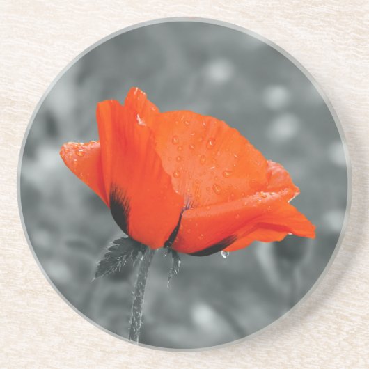 Papaver coaster zandsteen onderzetter (Voorkant)