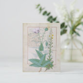 Papaver en Figwort Briefkaart (Staand voorkant)