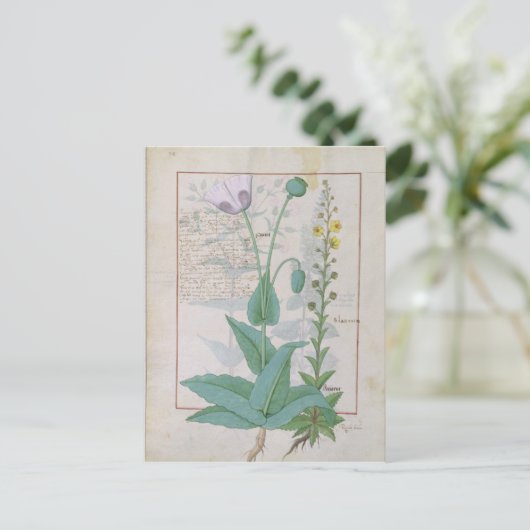 Papaver en Figwort Briefkaart (Staand voorkant)