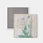 Papaver en Figwort Magneet (Voorkant / Achterkant)