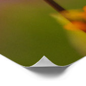 papaver en roze poster (Hoek)