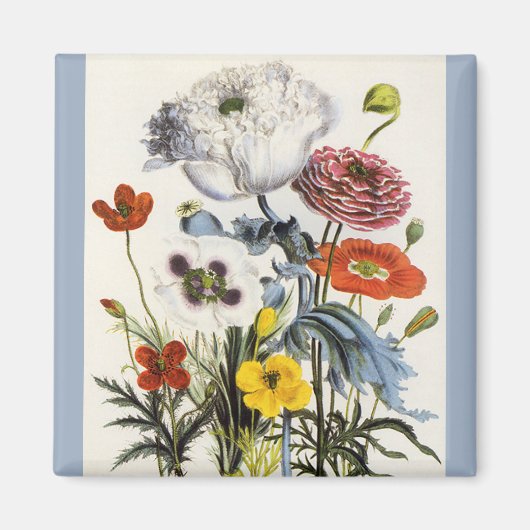  papaver in de tuin, Victoriaans bloemen Magneet (Voorkant)