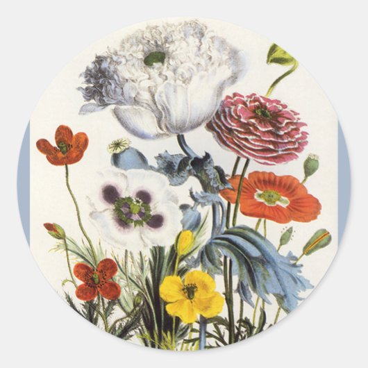  papaver in de tuin, Victoriaans bloemen Ronde Sticker (Voorkant)