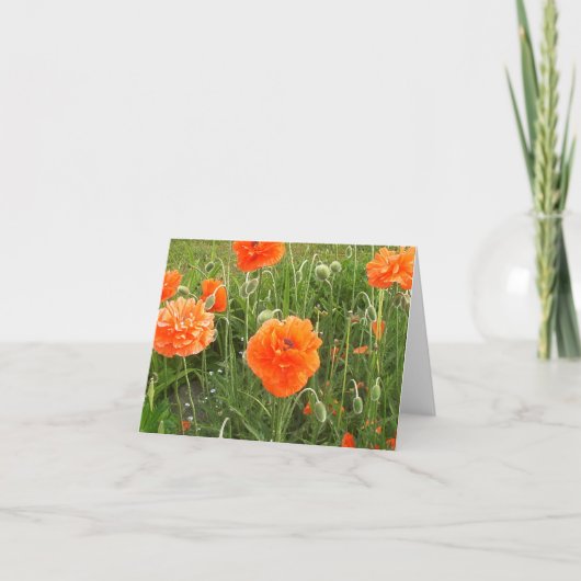 Papaver in de wind kaart (Voorkant)