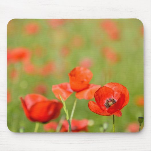 papaver in een mousepad muismat (Voorkant)