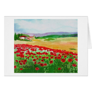 papaver in Toscane