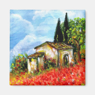 Papaver in Toscane Magneet